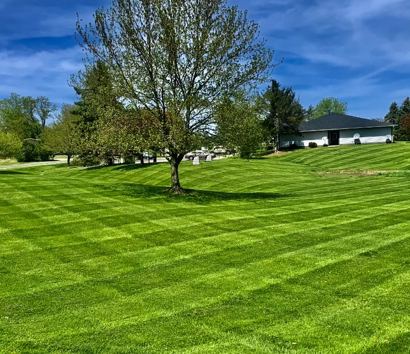 Lawn Care